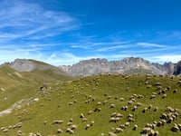Col du Galibier