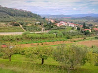 Gažon from Koper