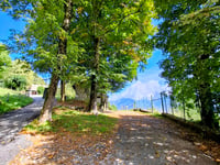 Colle della Madonnina from Barni