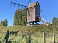 Vlindersstraat