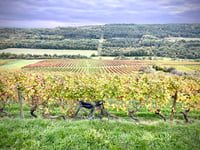 Côte d'Arcenant