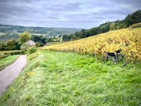 Côte d'Arcenant