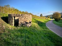 Bruant depuis Messanges