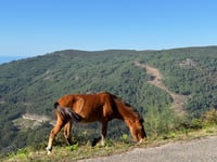Alto da Groba / Alto de Mougás von Mougás