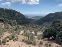 Coll de Sóller von Bunyola