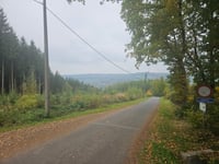 Stockeu