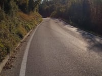 Garzola