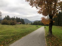 Buckelwiesen von Krün