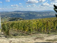 Monte l'Abate über Strada San Lorenzo Fiordinano