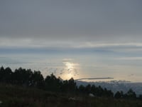 Os Forcados da A Pobra do Caramiñal