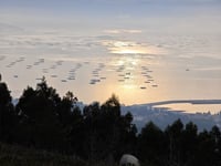 Os Forcados da A Pobra do Caramiñal
