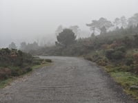 Os Forcados depuis A Pobra do Caramiñal