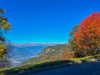 Sella Schermoos da Terlano