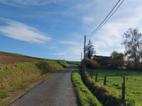 L'Arbre Vert von Willaufosse