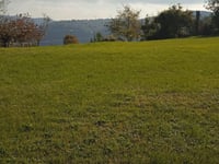 Grancona