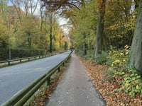 Savelsbos vanuit Gronsveld