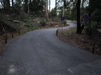 Alto da Condessa depuis Ribeira de Colares par Estrada dos Capuchos