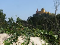 Alto da Condessa depuis Ribeira de Colares par Estrada dos Capuchos