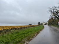 Côte de Courgis von Chablis