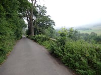 Maynestone Road von Whitehough