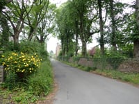 Maynestone Road von Whitehough