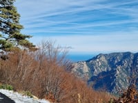 Capannelle