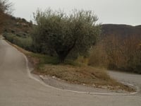 La San Germana
