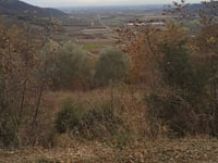 La San Germana