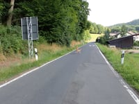 Hürnigskopf von Binzenbach