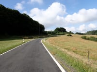 Hürnigskopf von Binzenbach