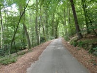 Krausberg von Dernau