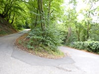 Krausberg von Dernau