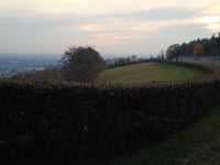 Rocca Pisana von Lonigo
