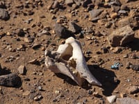 Tizi n'Tnsaouin von Ouarzazate