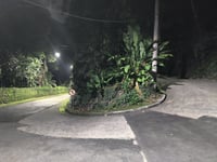 Estrada da Canoa Lado Olímpico von São Conrado