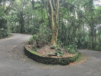 Bom Retiro / Pico da Tijuca von Alto da Boa Vista