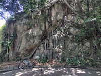 Parque do Penhasco Dois Irmãos von Leblon
