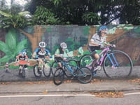 Rua Alice / Mirante Almirante Alexandrino von Laranjeiras