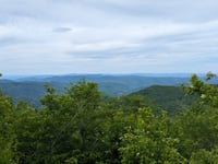 Cloudland Mountain von Roan Mountain