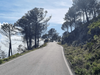 Pico de Los Reales from Estepona