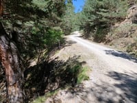 Col de Portus
