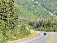 Highwood Pass from Kananaskis Village