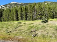 Highwood Pass from Kananaskis Village