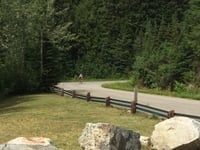 Mount Revelstoke vanuit Big Eddy
