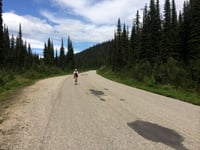 Mount Revelstoke vanuit Big Eddy