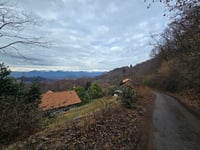 Pecorino von Ameno