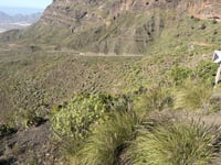 Degollada de la Aldea from La Ladera
