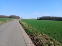Côte du Belvédère / Sur Sohère from Han-sur-Lesse