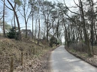 Kabeljauw