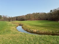 Kabeljauw